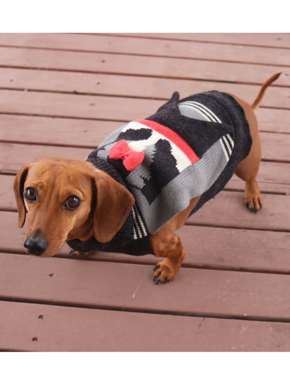 NWT size SMALL dog NEW sweater WORLD MARKET knit pet TUXEDO warm cute WEDDING